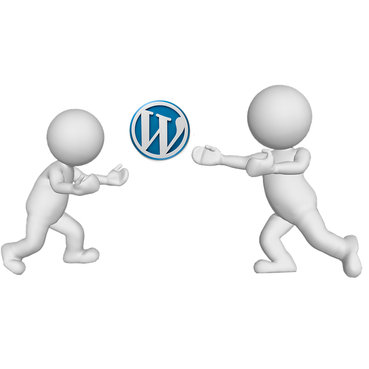  Wordpress plugin developer hire